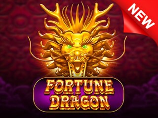 Fortune Dragon PP