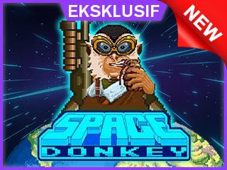 Space Donkey
