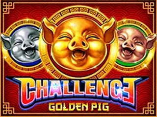 CHALLENGE GOLDEN PIG