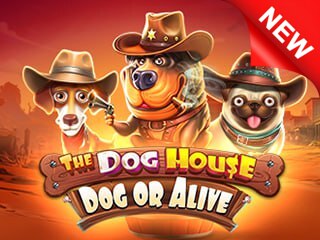 The Dog House - Dog Or Alive